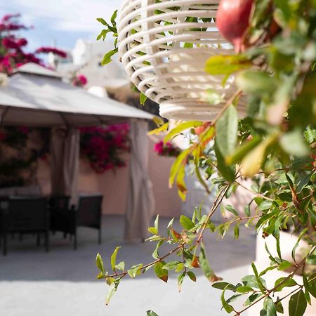 Santorini Oasis- Cave House Villa Fíra Kültér fotó