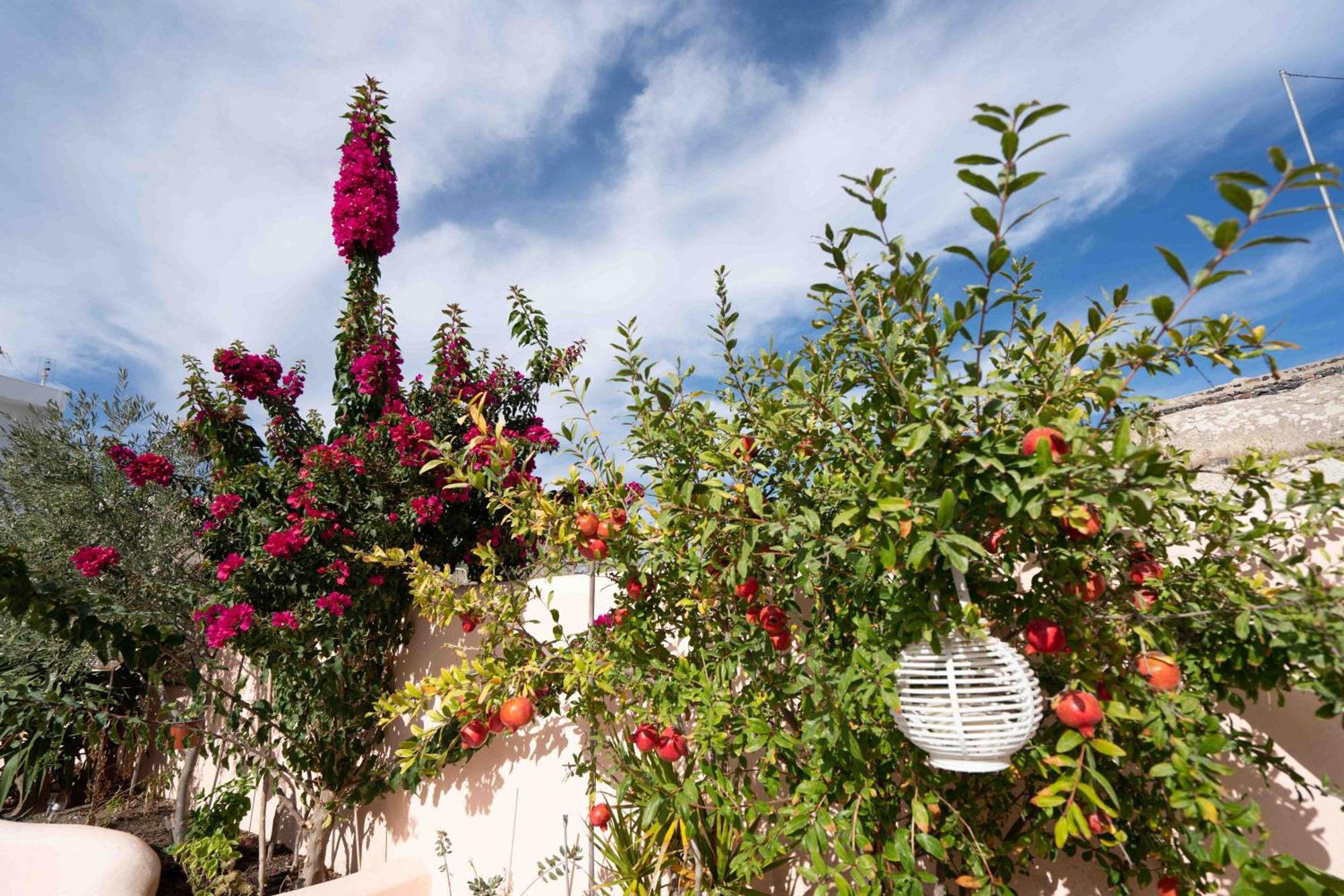 Santorini Oasis- Cave House Villa Fíra Kültér fotó